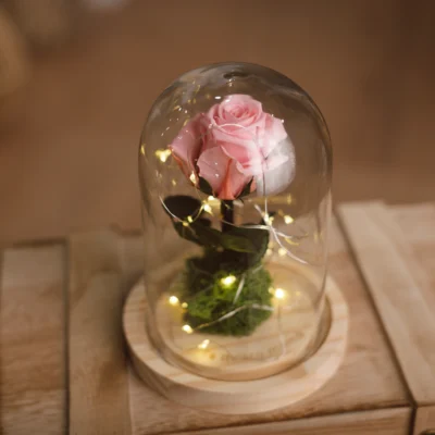 Cúpula Rosa eterna con luz